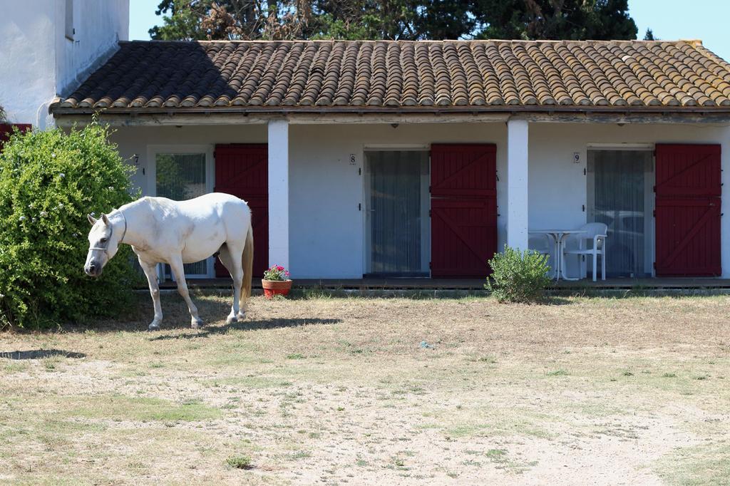 Mas Des Cypres Apartman Saintes-Maries-de-la-Mer Kültér fotó