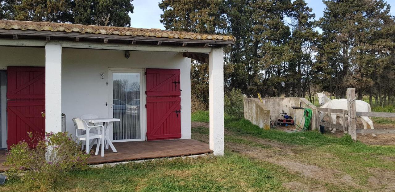Mas Des Cypres Apartman Saintes-Maries-de-la-Mer Kültér fotó