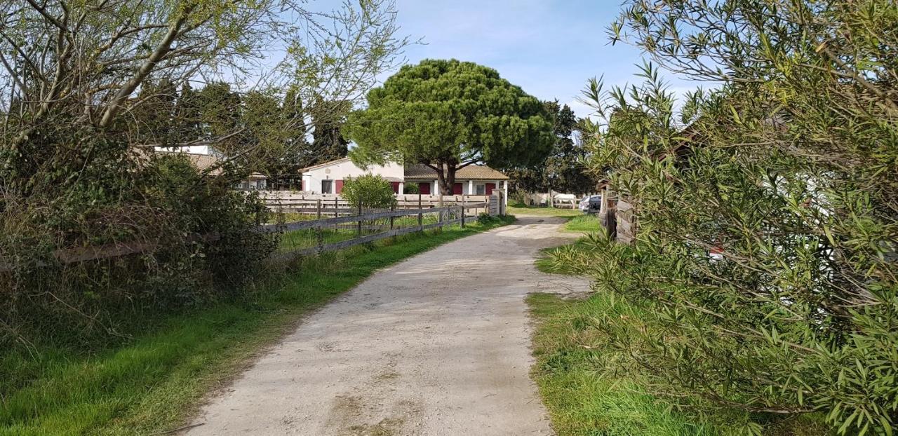 Mas Des Cypres Apartman Saintes-Maries-de-la-Mer Kültér fotó